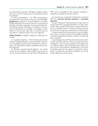 154017468-Anatomia-Humana-Garcia-Porrero-pdf.pdf