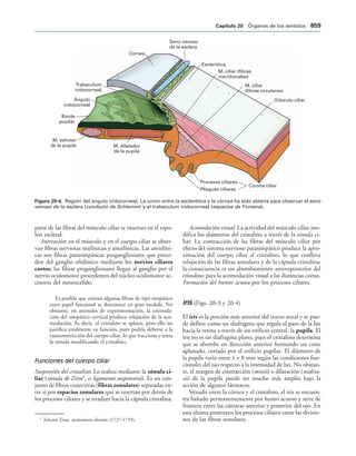 154017468-Anatomia-Humana-Garcia-Porrero-pdf.pdf