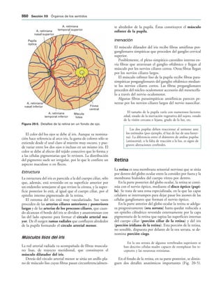 154017468-Anatomia-Humana-Garcia-Porrero-pdf.pdf