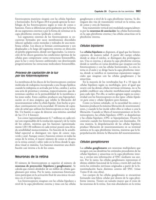154017468-Anatomia-Humana-Garcia-Porrero-pdf.pdf