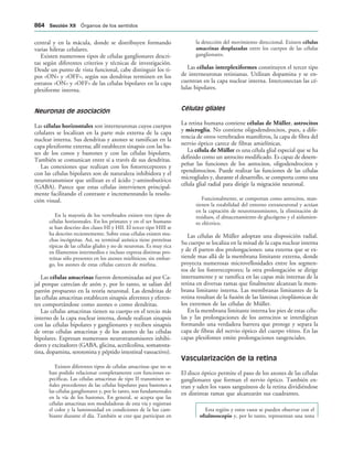 154017468-Anatomia-Humana-Garcia-Porrero-pdf.pdf