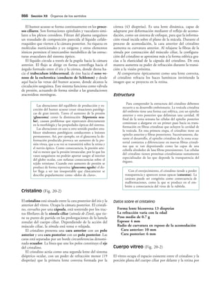 154017468-Anatomia-Humana-Garcia-Porrero-pdf.pdf