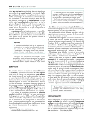 154017468-Anatomia-Humana-Garcia-Porrero-pdf.pdf