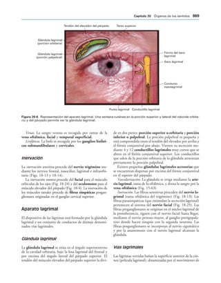 154017468-Anatomia-Humana-Garcia-Porrero-pdf.pdf