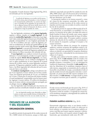 154017468-Anatomia-Humana-Garcia-Porrero-pdf.pdf