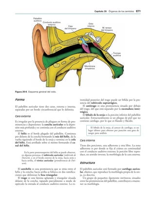 154017468-Anatomia-Humana-Garcia-Porrero-pdf.pdf