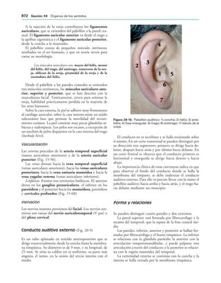 154017468-Anatomia-Humana-Garcia-Porrero-pdf.pdf