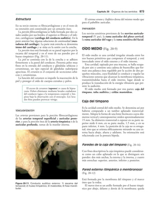 154017468-Anatomia-Humana-Garcia-Porrero-pdf.pdf