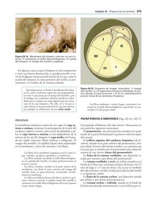 154017468-Anatomia-Humana-Garcia-Porrero-pdf.pdf