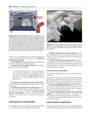 154017468-Anatomia-Humana-Garcia-Porrero-pdf.pdf