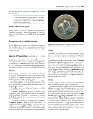 154017468-Anatomia-Humana-Garcia-Porrero-pdf.pdf