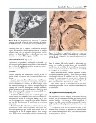 154017468-Anatomia-Humana-Garcia-Porrero-pdf.pdf