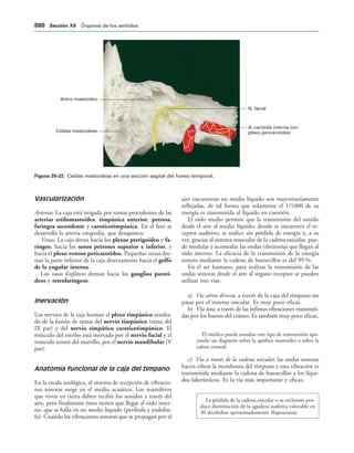 154017468-Anatomia-Humana-Garcia-Porrero-pdf.pdf