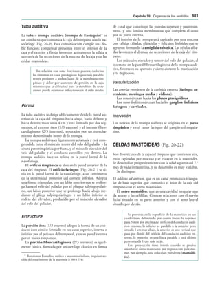 154017468-Anatomia-Humana-Garcia-Porrero-pdf.pdf