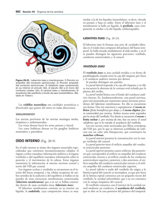 154017468-Anatomia-Humana-Garcia-Porrero-pdf.pdf
