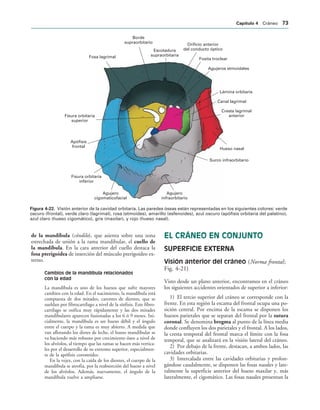 Fosa lagrimal
Fisura orbitaria
superior
Apófisis
frontal
Fisura orbitaria
inferior
Agujero
cigomaticofacial
Agujero
infraorbitario
Surco infraorbitario
Hueso nasal
Cresta lagrimal
anterior
Canal lagrimal
Lámina orbitaria
Agujeros etmoidales
Fosita troclear
Orificio anterior
del conducto óptico
Escotadura
supraorbitaria
Borde
supraorbitario
IGURA   Visión anterior de la cavidad orbitaria. Las paredes óseas están representadas en los siguientes colores: verde
oscuro (frontal), verde claro (lagrimal), rosa (etmoides), amarillo (esfenoides), azul oscuro (apófisis orbitaria del palatino),
azul claro (hueso cigomático), gris (maxilar), y rojo (hueso nasal).
de la mandíbula (cóndilo), que asienta sobre una zona
estrechada de unión a la rama mandibular, el cuello de
la mandíbula. En la cara anterior del cuello destaca la
fosa pterigoidea de inserción del músculo pterigoideo ex-
terno.
Cambios de la mandíbula relacionados
con la edad
La mandíbula es uno de los huesos que sufre mayores
cambios con la edad. En el nacimiento, la mandíbula está
compuesta de dos mitades, carentes de dientes, que se
sueldan por fibrocartílago a nivel de la sínfisis. Este fibro-
cartílago se osifica muy rápidamente y las dos mitades
mandibulares aparecen fusionadas a los 6 ó 9 meses. Ini-
cialmente, la mandíbula es un hueso débil y el ángulo
entre el cuerpo y la rama es muy abierto. A medida que
van aflorando los dietes de leche, el hueso mandibular se
va haciendo más robusto por crecimiento óseo a nivel de
los alvéolos, al tiempo que las ramas se hacen más vertica-
les por el desarrollo de su extremo superior, especialmen-
te de la apófisis coronoides.
En la vejez, con la caída de los dientes, el cuerpo de la
mandíbula se atrofia, por la reabsorción del hueso a nivel
de los alvéolos. Además, nuevamente, el ángulo de la
mandíbula vuelve a ampliarse.
EL CRÁNEO EN CONJUNTO
SUPERFICIE EXTERNA
Visión anterior del cráneo (Norma frontal;
Fig. 4-21)
Visto desde un plano anterior, encontramos en el cráneo
los siguientes accidentes orientados de superior a inferior:
1) El tercio superior del cráneo se corresponde con la
frente. En esta región la escama del frontal ocupa una po-
sición central. Por encima de la escama se disponen los
huesos parietales que se separan del frontal por la sutura
coronal. Se denomina bregma al punto de la línea media
donde confluyen los dos parietales y el frontal. A los lados,
la cresta temporal del frontal marca el límite con la fosa
temporal, que se analizará en la visión lateral del cráneo.
2) Por debajo de la frente, destacan, a ambos lados, las
cavidades orbitarias.
3) Intercalada entre las cavidades orbitarias y prolon-
gándose caudalmente, se disponen las fosas nasales y late-
ralmente la superficie anterior del hueso maxilar y, más
lateralmente, el cigomático. Las fosas nasales presentan la
#APÓTULO  Cráneo 
 
