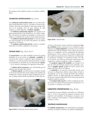 154017468-Anatomia-Humana-Garcia-Porrero-pdf.pdf