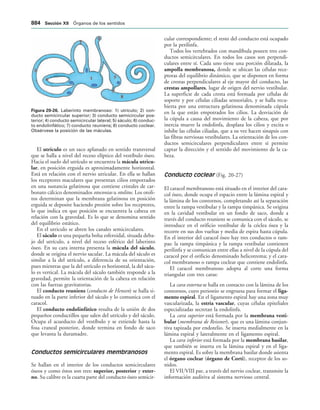 154017468-Anatomia-Humana-Garcia-Porrero-pdf.pdf