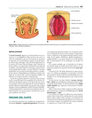 154017468-Anatomia-Humana-Garcia-Porrero-pdf.pdf