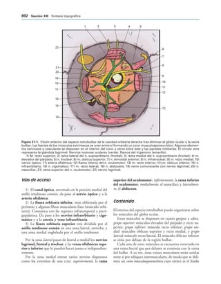 154017468-Anatomia-Humana-Garcia-Porrero-pdf.pdf