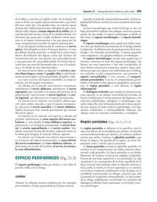 154017468-Anatomia-Humana-Garcia-Porrero-pdf.pdf