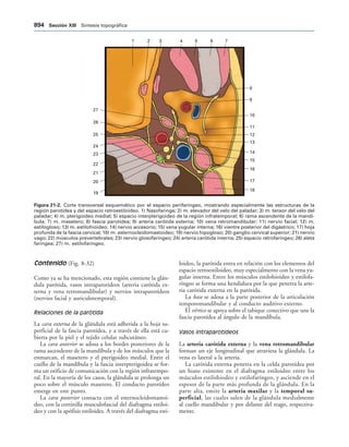154017468-Anatomia-Humana-Garcia-Porrero-pdf.pdf