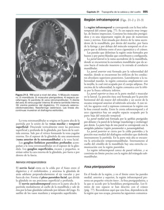 154017468-Anatomia-Humana-Garcia-Porrero-pdf.pdf