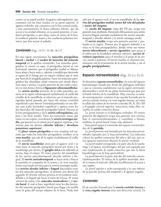 154017468-Anatomia-Humana-Garcia-Porrero-pdf.pdf