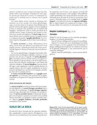 154017468-Anatomia-Humana-Garcia-Porrero-pdf.pdf