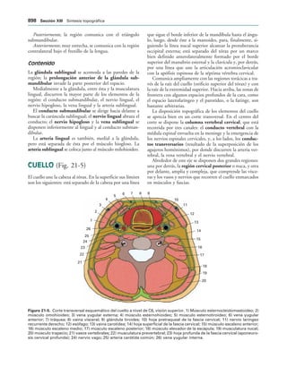 154017468-Anatomia-Humana-Garcia-Porrero-pdf.pdf
