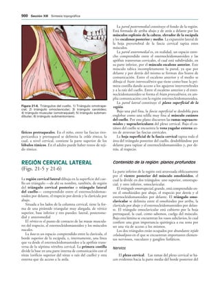 154017468-Anatomia-Humana-Garcia-Porrero-pdf.pdf