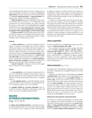 154017468-Anatomia-Humana-Garcia-Porrero-pdf.pdf