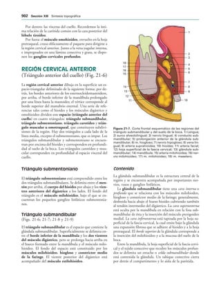 154017468-Anatomia-Humana-Garcia-Porrero-pdf.pdf