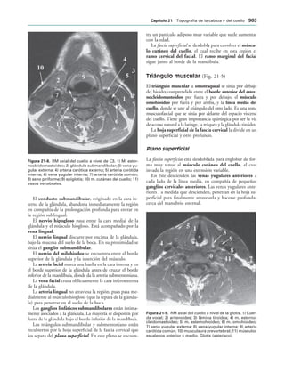 154017468-Anatomia-Humana-Garcia-Porrero-pdf.pdf