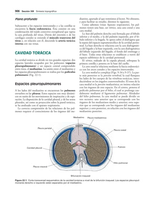 154017468-Anatomia-Humana-Garcia-Porrero-pdf.pdf