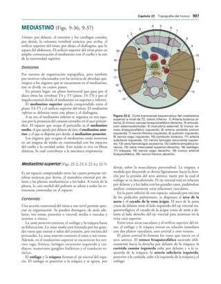 154017468-Anatomia-Humana-Garcia-Porrero-pdf.pdf