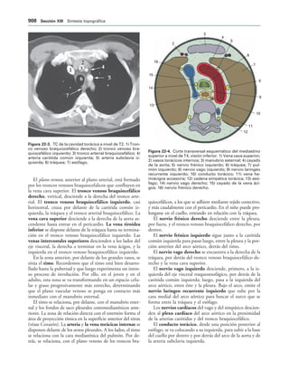 154017468-Anatomia-Humana-Garcia-Porrero-pdf.pdf