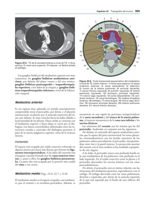 154017468-Anatomia-Humana-Garcia-Porrero-pdf.pdf