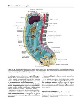 154017468-Anatomia-Humana-Garcia-Porrero-pdf.pdf