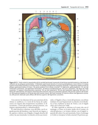 154017468-Anatomia-Humana-Garcia-Porrero-pdf.pdf