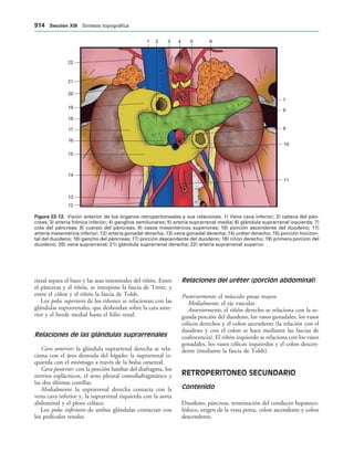 154017468-Anatomia-Humana-Garcia-Porrero-pdf.pdf