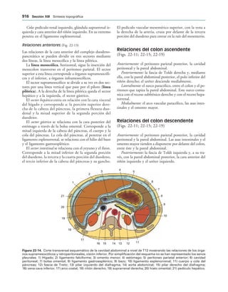 154017468-Anatomia-Humana-Garcia-Porrero-pdf.pdf