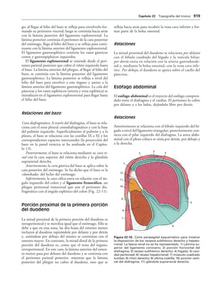 154017468-Anatomia-Humana-Garcia-Porrero-pdf.pdf