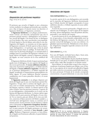 154017468-Anatomia-Humana-Garcia-Porrero-pdf.pdf