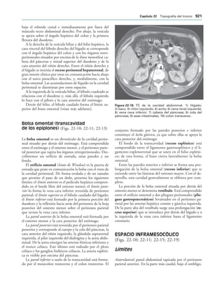 154017468-Anatomia-Humana-Garcia-Porrero-pdf.pdf