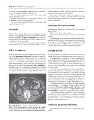 154017468-Anatomia-Humana-Garcia-Porrero-pdf.pdf