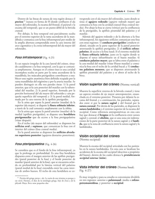 Dentro de las líneas de sutura de esta región destaca el
pterion14
(sutura en forma de H donde confluyen el ala
mayor del esfenoides, la escama del frontal, el parietal y la
escama del temporal), que es un punto débil de la bóveda
craneal.
Por debajo, la fosa temporal está parcialmente oculta
por el extremo superior de la rama ascendente de la man-
díbula y comunica con la fosa infratemporal por medio de
la amplia abertura comprendida entre la cara interna del
arco cigomático y la cresta infratemporal del ala mayor del
esfenoides.
Fosa infratemporal (Fig. 4-25)
Es un espacio irregular de la cara lateral del cráneo, situa-
do caudalmente a la fosa temporal, con la que se comuni-
ca ampliamente. Aunque en el cráneo óseo es una cavidad
incompleta oculta en parte por la rama ascendente de la
mandíbula, los músculos pterigoideos contribuyen a esta-
blecer una región anatómica bien definida ocupada por la
rama mandibular del trigémino y por la arteria maxilar. Se
pueden distinguir en ella tres paredes óseas: 1) la pared
anterior, que es la cara posterior del maxilar con la tubero-
sidad del maxilar; 2) la pared superior, formada por la
porción horizontal del ala mayor del esfenoides y una pe-
queña superficie del temporal; y 3) la pared medial, for-
mada por la cara externa de la apófisis pterigoides.
En la arista que separa la pared anterior (maxilar) de la
superior (ala mayor), se dispone la fisura orbitaria inferior,
a través de la cual comunica ampliamente con la órbita.
En la arista que separa la pared anterior (maxilar) de la
medial (apófisis pterigoides), se dispone una hendidura
pterigomaxilar que da acceso a la fosa pterigopalatina
(véase después).
En el techo (ala mayor del esfenoides) se disponen los
orificios oval y espinoso, que comunican la fosa con el
interior del cráneo (fosa craneal media).
En la pared anterior se disponen los orificios alveola-
res superiores posterior (agujeros dentarios posteriores).
Fosa pterigopalatina (Fig. 4-26)
Se considera que es el fondo de la fosa infratemporal, ya
que la prolonga en profundidad. Es una fina hendidura
dispuesta entre el margen anterior de las apófisis pterigoi-
des (pared posterior de la fosa) y el borde posterior de
maxilar (pared anterior de la fosa), que se encuentra oclui-
da en profundidad por la lámina vertical del palatino
(pared medial de la fosa) extendida entre las caras inter-
nas de ambos huesos. El techo de esta hendidura se co-
rresponde con el ala mayor del esfenoides, justo donde se
sitúa el agujero redondo (agujero redondo mayor) que
comunica la fosa con la cavidad craneal (fosa craneal me-
dia). Por abajo la fosa se cierra (vértice) por la confluencia
de la pterigoides, la apófisis piramidal del palatino y el
maxilar.
Además del agujero redondo y de la abertura a la fosa
infratemporal, los siguientes orificios comunican esta fosa
con otras regiones: 1) conducto pterigoideo (conducto vi-
diano), situado en la parte superior de la pared posterior
atravesando la apófisis pterigoides; 2) el orificio esfeno-
palatino, de acceso a la fosa nasal; 3) el extremo medial de
la fisura orbitaria inferior, justo en la región donde se
dispone el surco infraorbitario en el hueso maxilar; 4)
conducto palatino mayor, que se labra entre el palatino y
la cara medial del maxilar (véase Hueso maxilar) y comu-
nica la fosa con el techo de la cavidad bucal; y 5) conduc-
tos palatinos menores, que se disponen atravesando la
apófisis piramidal del palatino y se abren al techo de la
boca.
Visión superior del cráneo (Norma vertical)
Muestra la superficie externa de la bóveda craneal y tiene
un aspecto ovoideo de eje mayor anteroposterior, ensan-
chada en el extremo posterior. Presenta por delante la es-
cama del frontal, y a continuación, los parietales, separa-
dos entre sí por la sutura sagital y del frontal por la
sutura coronal. Por detrás de los parietales, se disponen la
sutura lambdoidea y el extremo superior de la escama del
occipital. Como referencia antropométricas en esta cara
hay que destacar el bregma en la confluencia entre sutura
sagital y coronal; el obelión, que es una zona sin indenta-
ciones de la parte posterior de la sutura sagital; y el lamb-
da, que es la zona de confluencia entre la sutura sagital y la
lambdoidea.
Visión occipital del cráneo
(Norma occipital)
Muestra la escama del occipital articulada con los parieta-
les en la sutura lambdoidea. En esta cara se localizan los
accidentes de la escama del occipital (descritos a propósito
del hueso), dentro de los cuales destaca la protuberancia
occipital externa (inión).
Vista inferior del cráneo (Norma basal;
Fig. 4-27)
Es muy irregular y para su estudio es conveniente dividirla
en tres regiones: anterior o palatonasal, media o esfeno-
petromastoideaa, y posterior u occipital.
14
Pterión del griego pteryx = ala. La razón de este término es porque a
ese nivel, Hermes, el dios de la mitología griega, hijo de Zeus y de la
pléyade Maya, lleva unas pequeñas alas.
#APÓTULO  Cráneo 
 