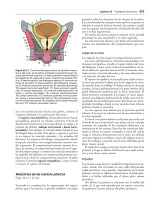 154017468-Anatomia-Humana-Garcia-Porrero-pdf.pdf