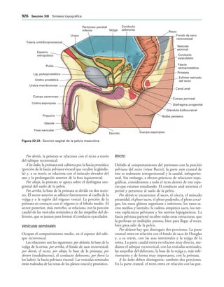 154017468-Anatomia-Humana-Garcia-Porrero-pdf.pdf