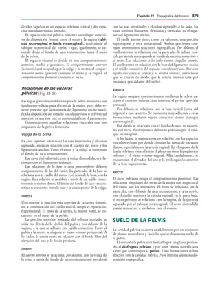 154017468-Anatomia-Humana-Garcia-Porrero-pdf.pdf